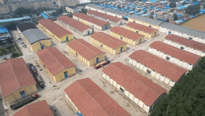 “三夏”生产一线观察｜田间好“丰”景 夏收正当时(图9)