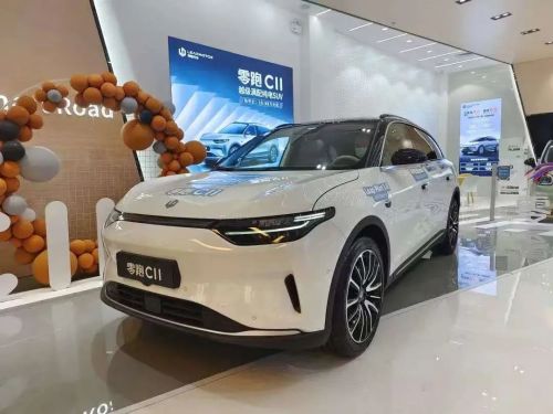 开腻了BBA的县城老钱们爱上了理问零？(图4)