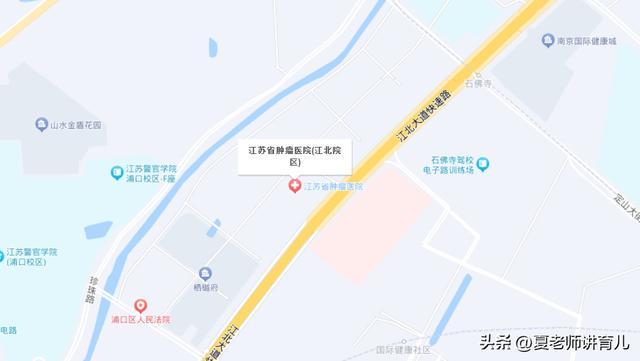 动了！官方回复！南京超级工程即将复工(图15)