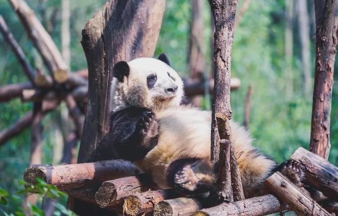 10号线三期首开只到武侯祠？现场实踩进度竟然是这样！(图11)