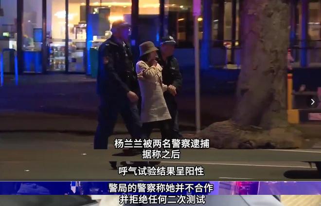 杨兰兰车祸细节：弃车跑丢名牌鞋折返冷眼看受伤司机配文惹争议(图8)