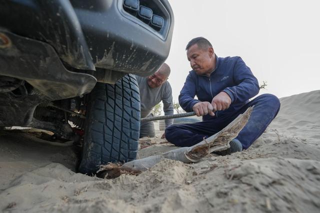 潮涌新疆70年 沙海新绿：生态输水造沙漠“绿色长廊”(图9)