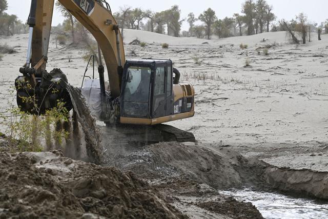 潮涌新疆70年 沙海新绿：生态输水造沙漠“绿色长廊”(图5)
