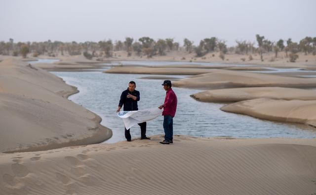 潮涌新疆70年 沙海新绿：生态输水造沙漠“绿色长廊”(图11)