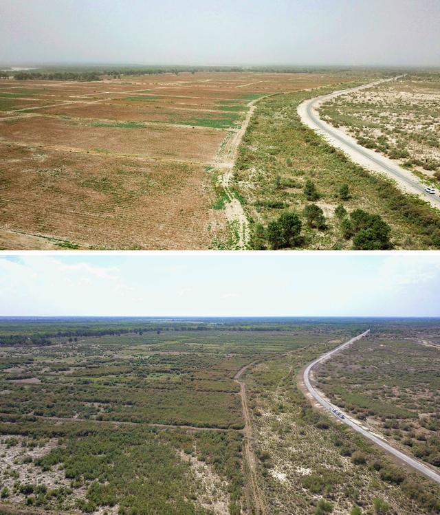 潮涌新疆70年 沙海新绿：生态输水造沙漠“绿色长廊”(图14)