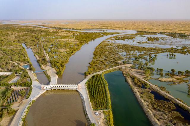 潮涌新疆70年 沙海新绿：生态输水造沙漠“绿色长廊”(图20)