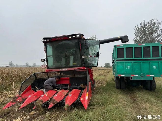 天公不作美？种粮人主动出击(图3)