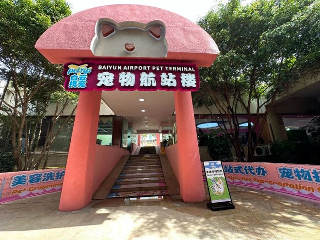 从客舱到酒店、景区“人宠服务”如何扎根中国旅游市场？(图2)