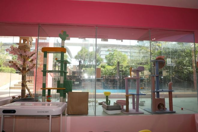 从客舱到酒店、景区“人宠服务”如何扎根中国旅游市场？(图3)