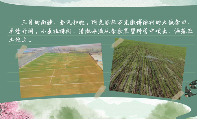 春耕时节 我们在行动_光明网(图6)
