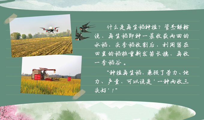 春耕时节 我们在行动_光明网(图2)