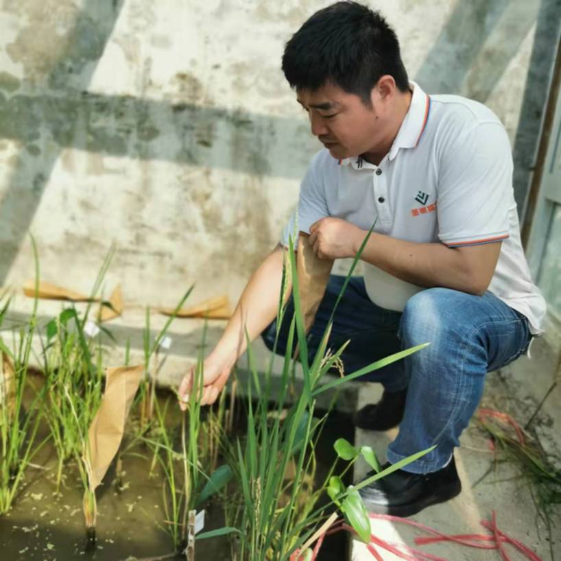 春耕时节 我们在行动_光明网(图23)