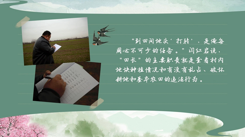 春耕时节 我们在行动_光明网(图44)