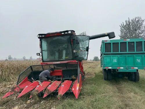 10月这些央媒、省媒聚焦淮北！(图5)