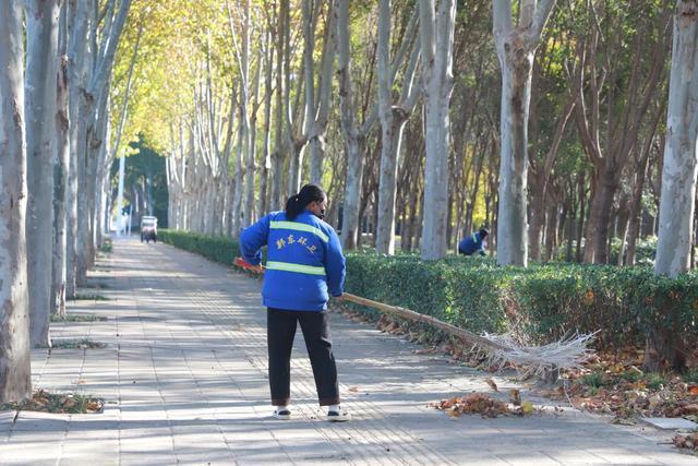 郑州东象环卫全面打响冬季环卫保障攻坚战(图3)