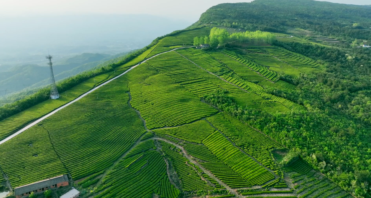 宜昌代表带着“民意清单”赴两会(图3)