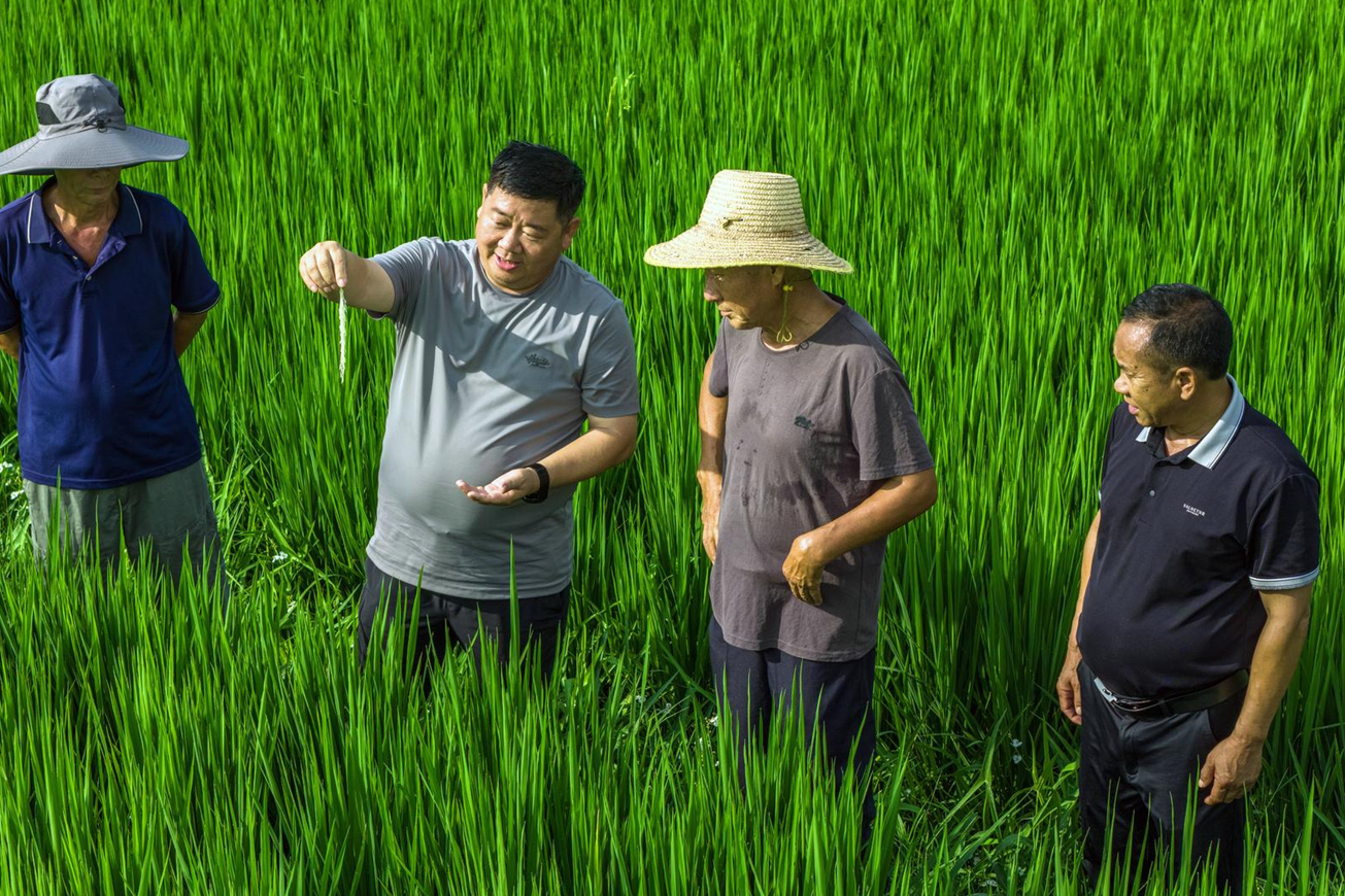 宜昌代表带着“民意清单”赴两会(图5)