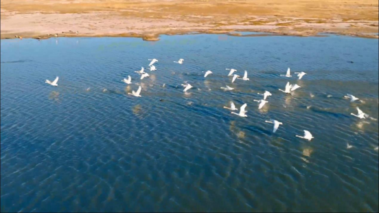 抖音寻人找到甲午海战阵亡士兵后人家属：我要告诉后代家里出了个烈士(图17)