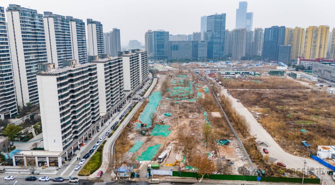 刚刚设计方案曝光！河西“战略要道”即将开建！(图6)